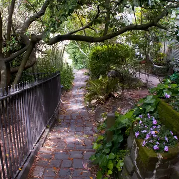 Macondray Lane in Russian Hill is bedecked with flowers, San Francisco.