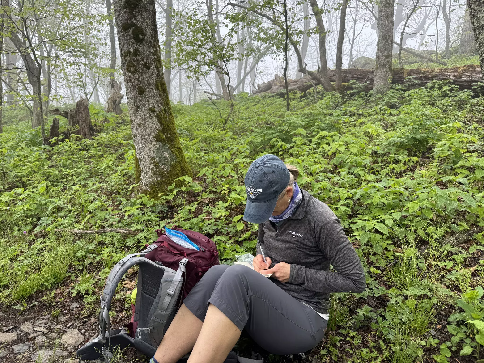 A woman sits among a lush woodland writing in a journal with her backpack next to her.