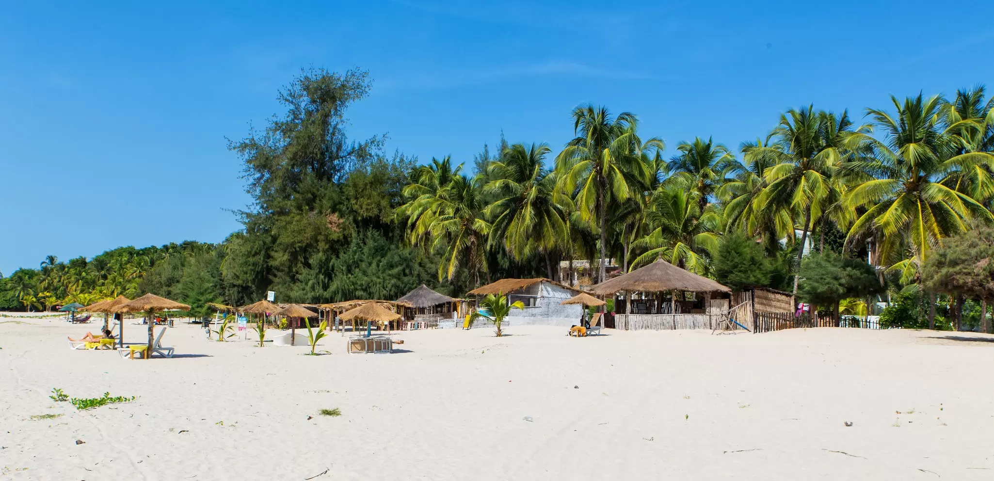 An empty white sand beach lined with palm trees and thatched umbrellas under a bright blue sky.