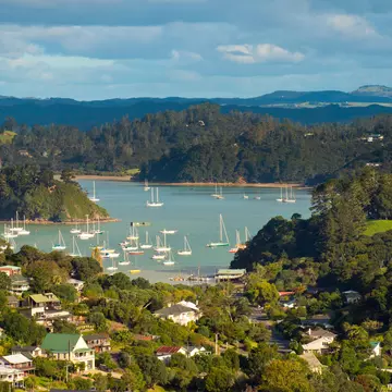 Coromandel. Rudmer Zwerver/Shutterstock