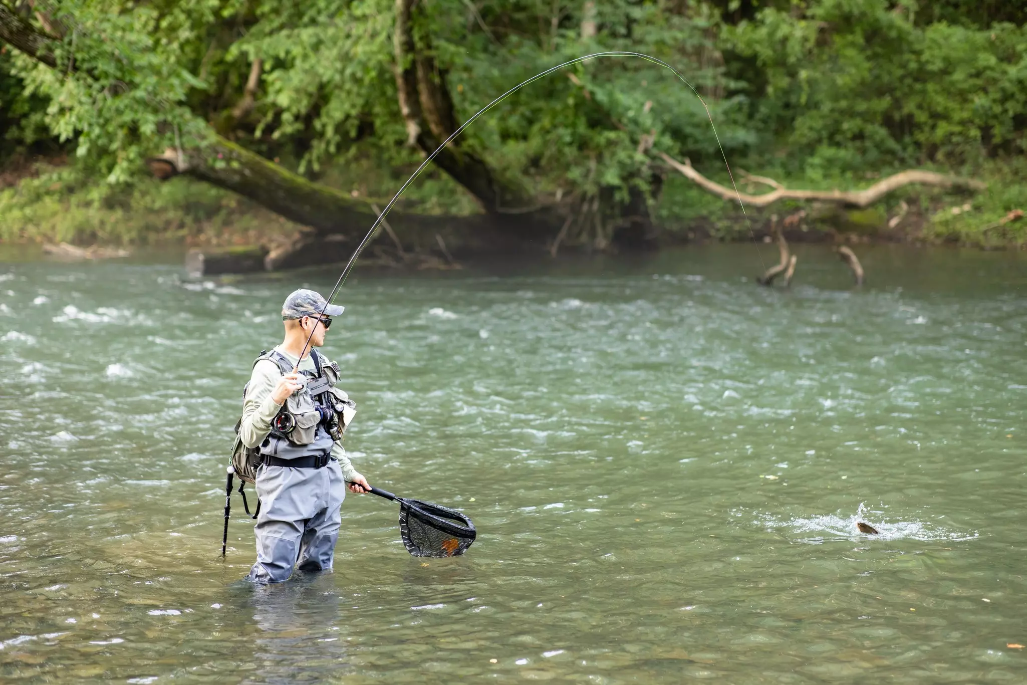 The Jackson River, filled with trout, is a popular spot with anglers © TMHong / Shutterstock