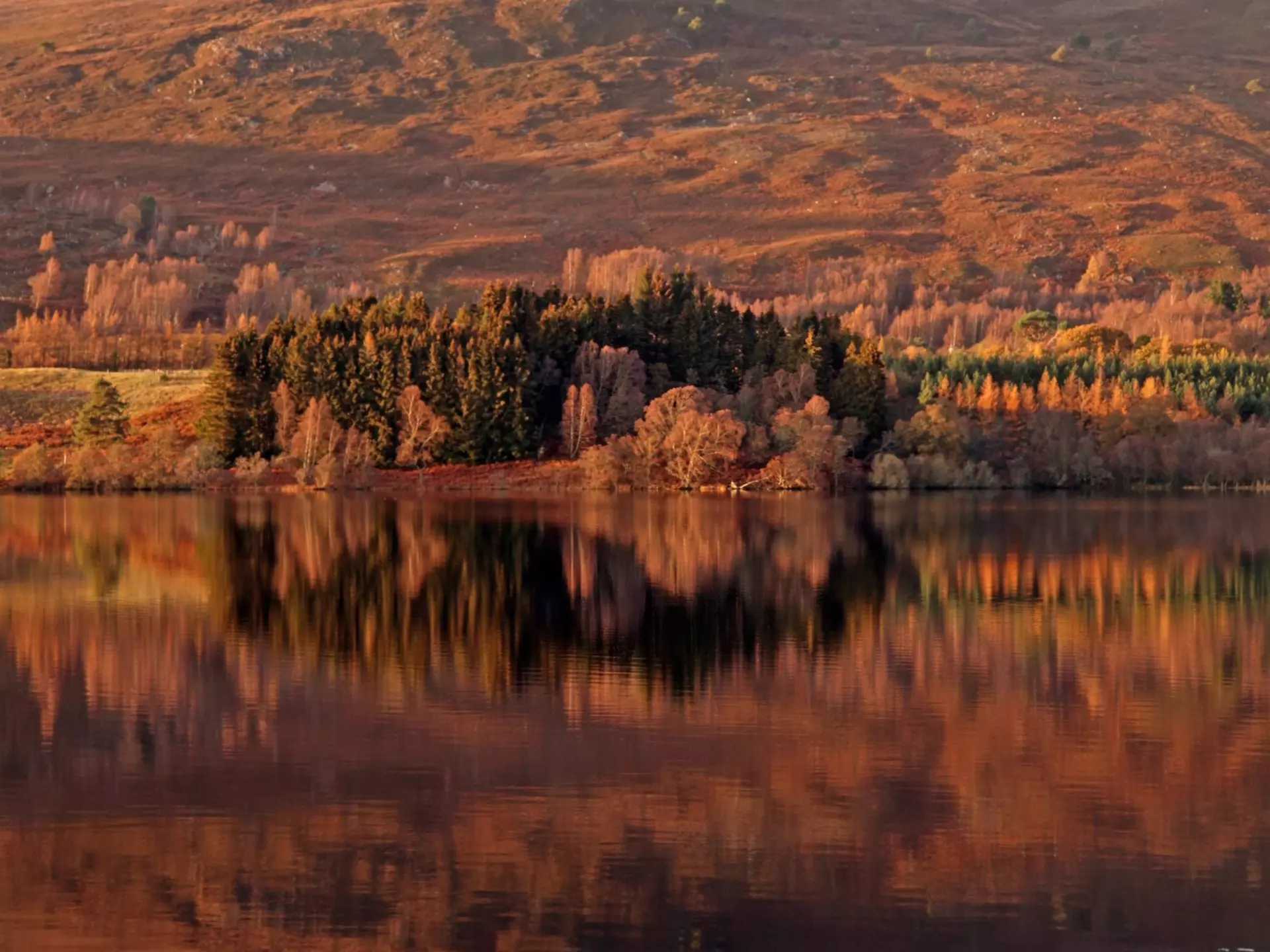 Autumn colours on the banks of Loch Alvie, Cairngorms Scotland, License Type: media, Download Time: 2026-08-10T15:09:39.000Z, User: adouglaslott59, Editorial: false, purchase_order: 65050 - Digital Destinations and Articles, job: online editorial, client: Best places to see fall foliage - overhaul, other: Ann Douglas Lott