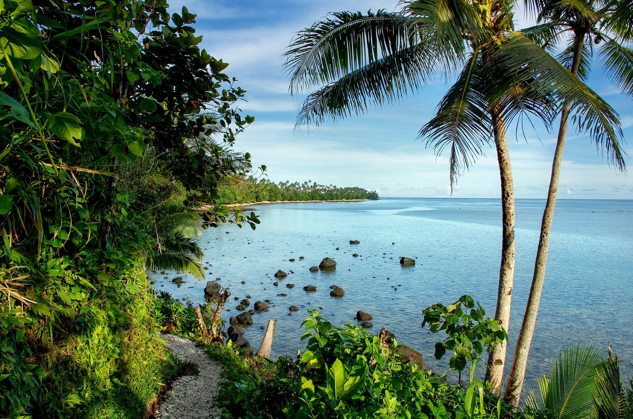 A sail boat just off the sandy shores of a palm tree-lined beach.