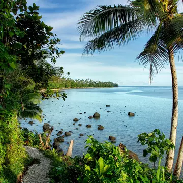 A sail boat just off the sandy shores of a palm tree-lined beach.