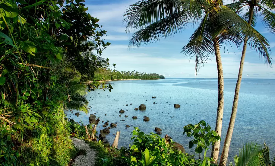 A sail boat just off the sandy shores of a palm tree-lined beach.