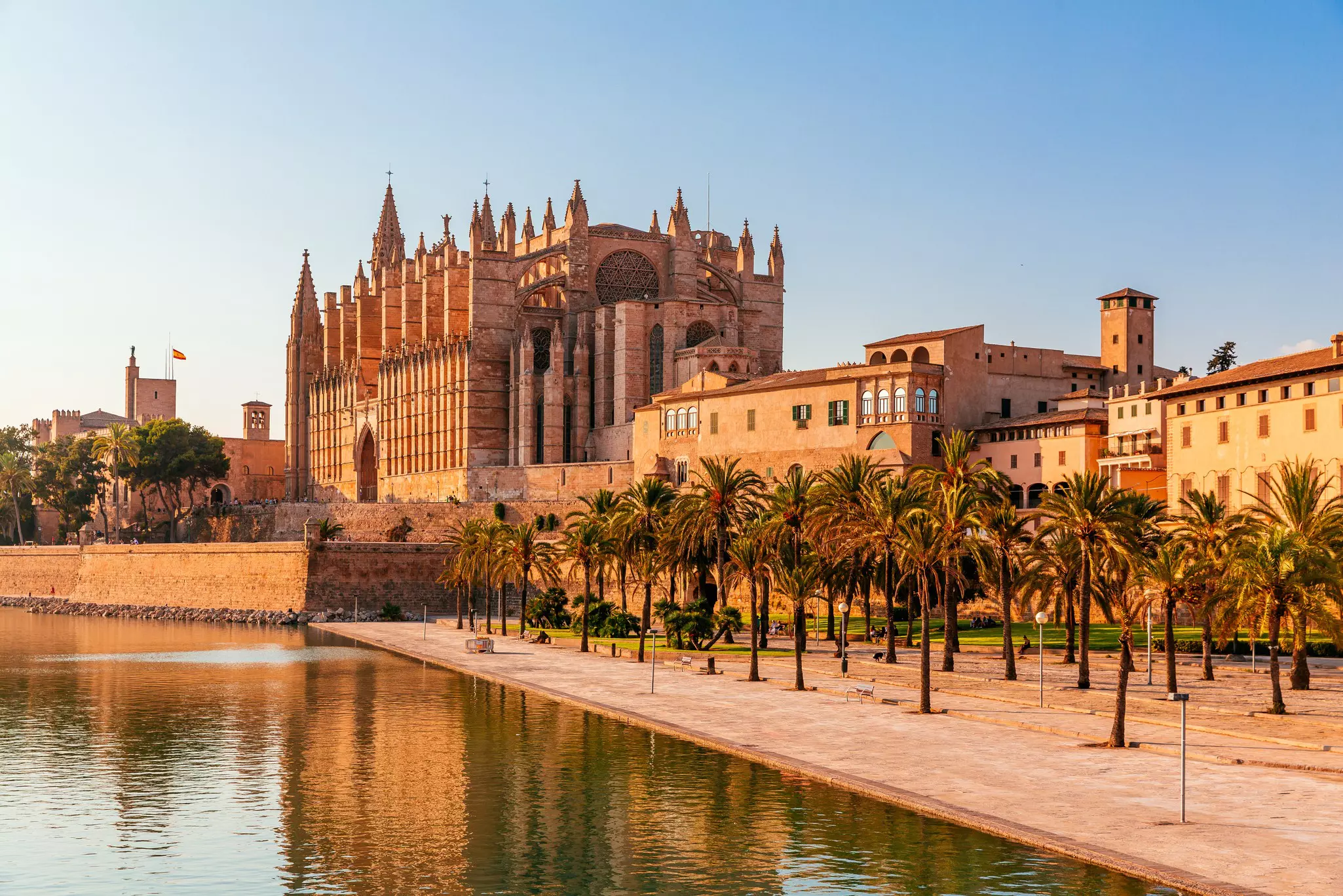 A view of an ornate Gothic cathedral and a square lined with palm trees and next to a basin of water in the early-morning light.