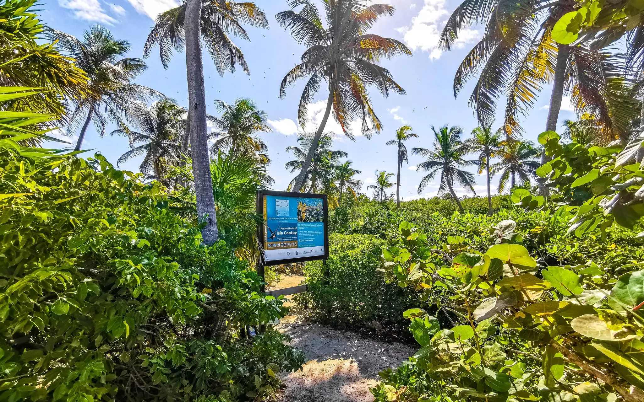 Welcome sign on Isla Contoy with trees and sky all around