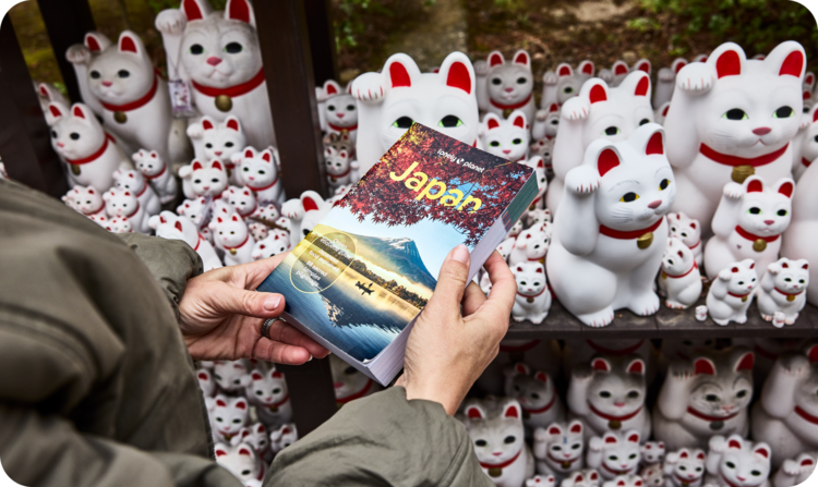 Japan book cover