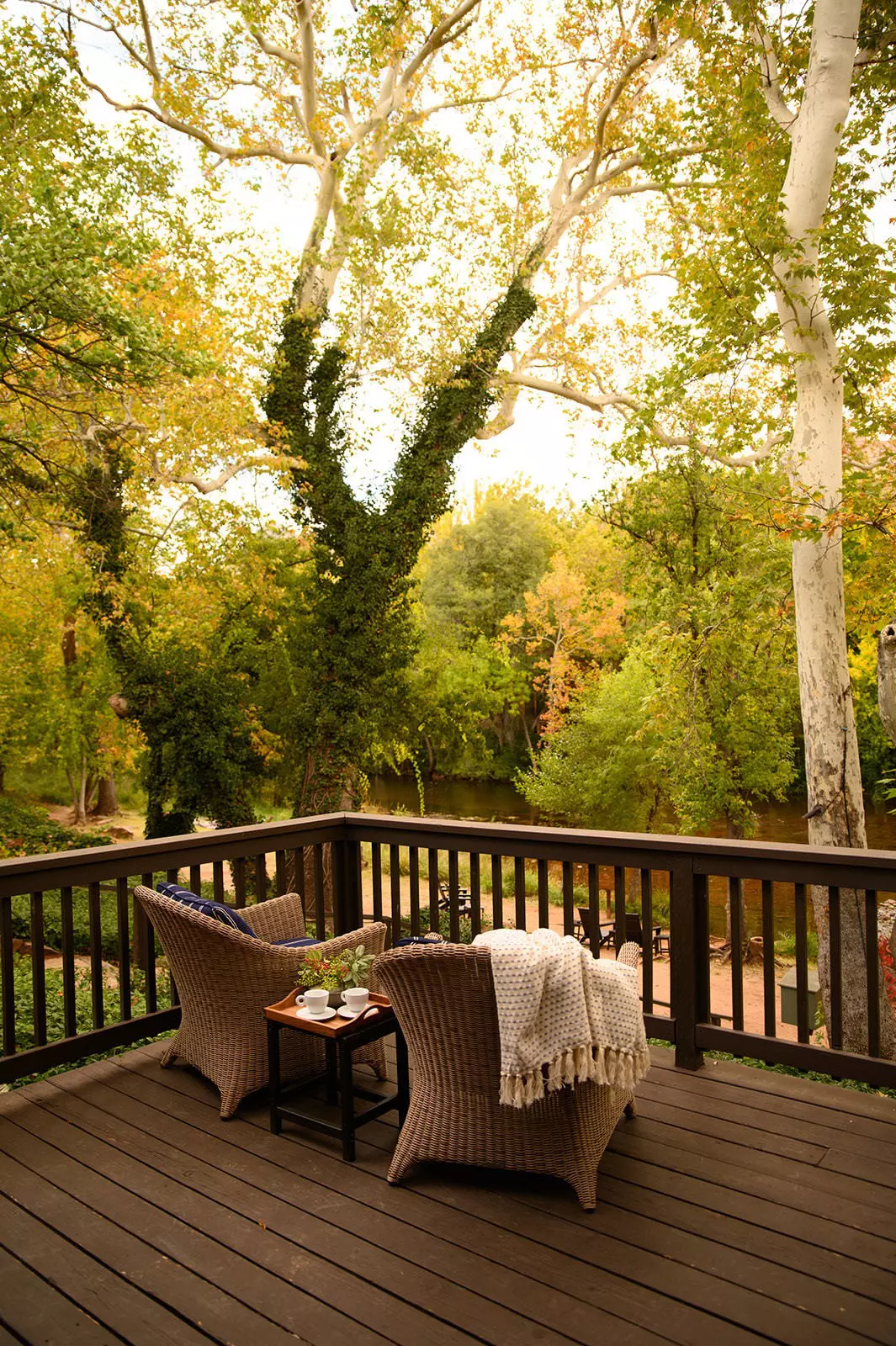 Handout images from L'Auberge de Sedona
For "The best hotels for seeing fall foliage"
Credit: L’Auberge de Sedona
