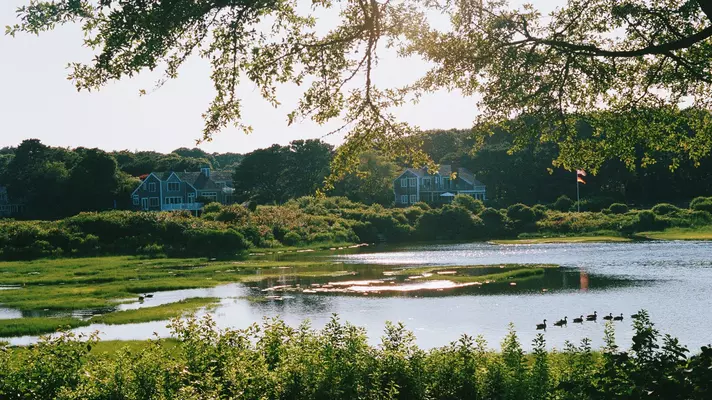 Marshes near Edgartown, Martha's Vineyard.