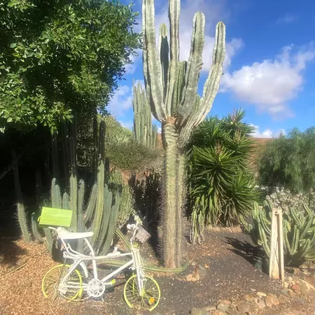 Aloe Vera Farm in Fuerteventura