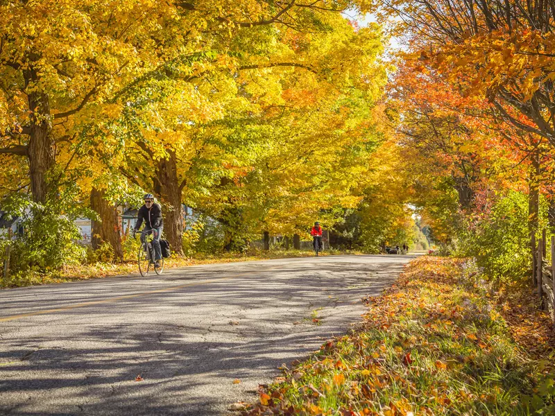 October 14, 2018: Cyclists ride along a tree-lined road near Pigeon Hill during autumn.
Outdoors, Yellow, Photography, On The Move, Beauty In Nature, October, Travel Destinations, Horizontal, Canadian Culture, Quebec, Tranquility, Green Color, Orange Color, Red, Bicycle, Multi Colored, Social Issues, Moving Activity, Wildlife Reserve, Freedom, Monteregie County, Cycling, Landscape - Scenery, Women, Road, Guidance, Sport, Adult, People, Colors, Day, Asphalt, Direction, Tree, National Park, Adults Only, Canada, Winding Road, Leaf, Tranquil Scene, Eastern Townships, Majestic, Scenics - Nature, Motion, Two People, Autumn, Environment, Nature, Men, Woodland
