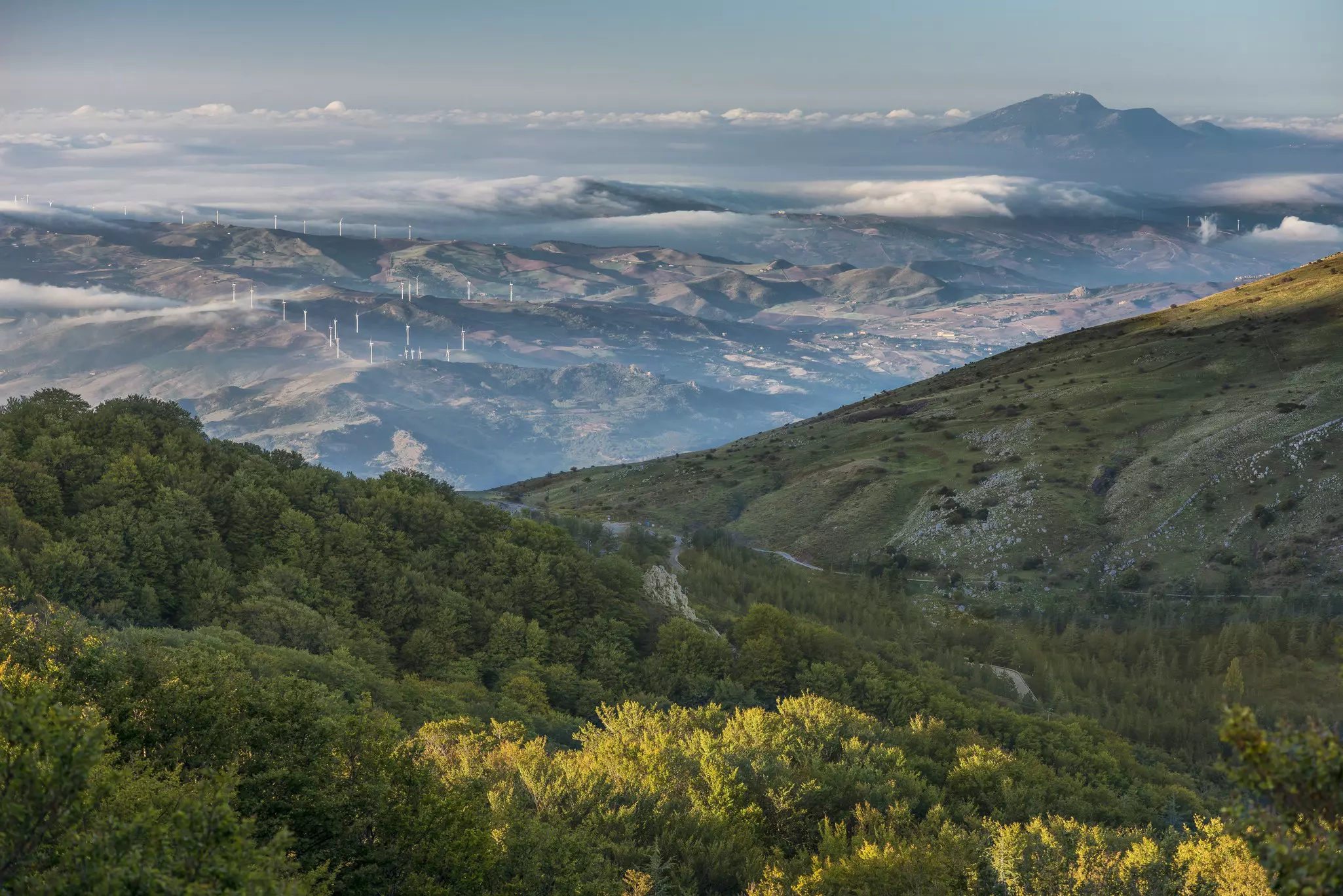 Aerial view of forested hills with a low, dirt-covered mountain range and low-hanging clouds spreading into the distance on a sunny day.