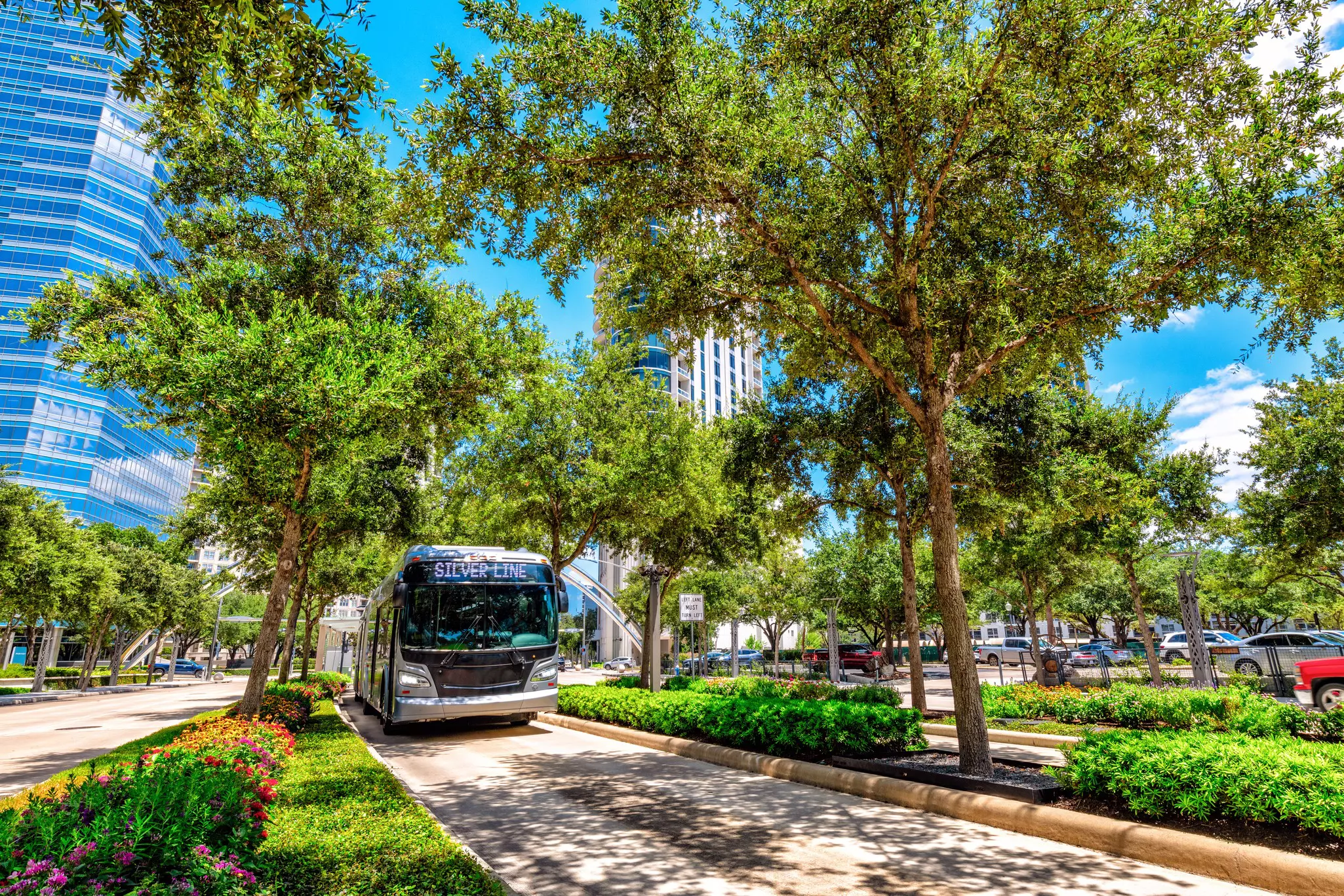 A bus on the Silver Line follows a bus-only lane segregated from other lanes by trees and flower beds.