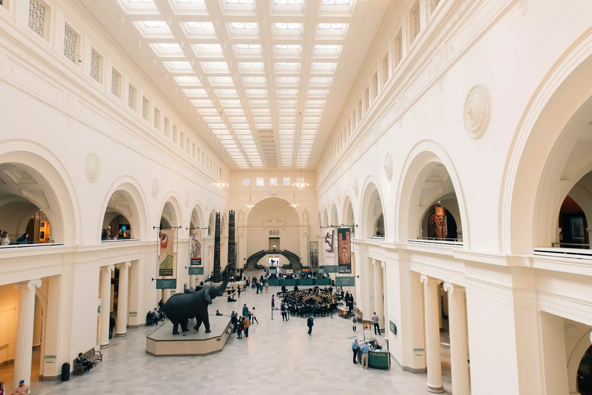 Interior view of the Field Museum featuring an elephant statue and people milling around
