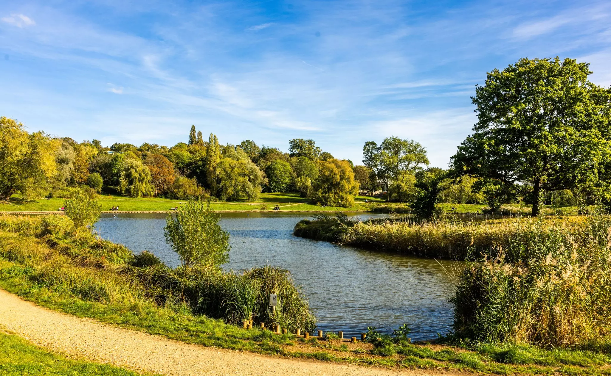 Curved pond surrounded by grass and trees, with a dirt path in the foreground on a sunny day.