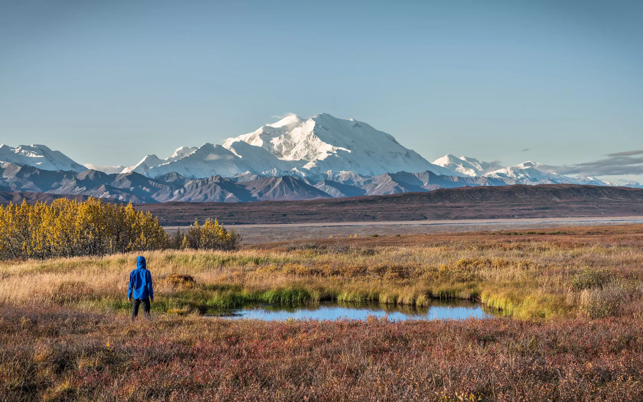 A hiker on a grassy plain faces at a snow-topped mountain.