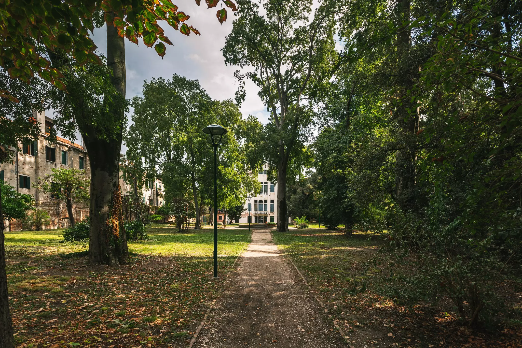 A path in a quiet park with old green trees, enclosed by residential buildings.