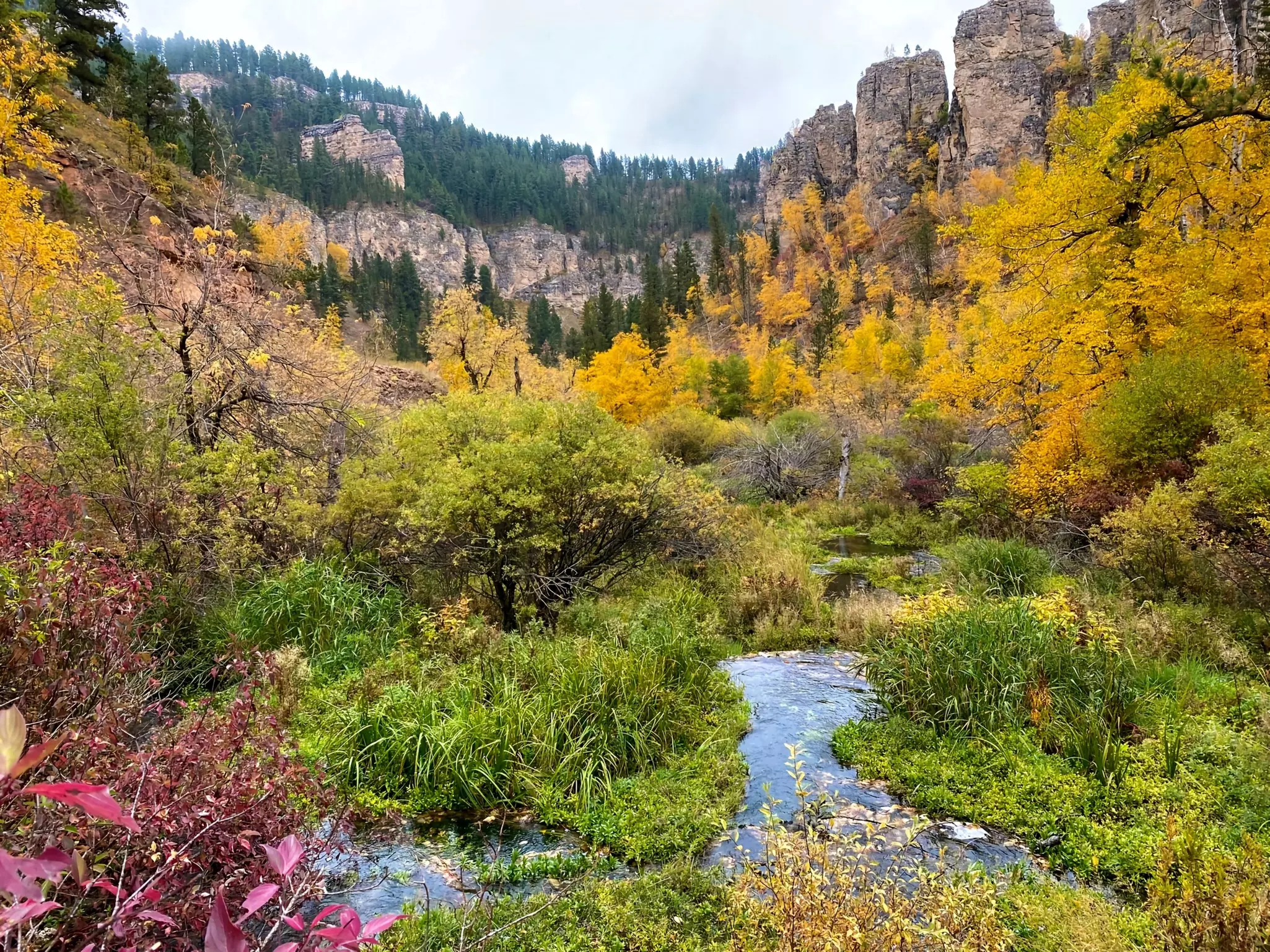 A canyon area with foliage that is turning from green to red, yellow and gold in the autumn.