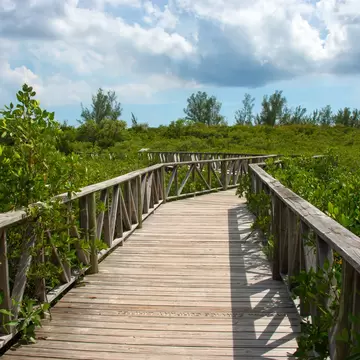 A wooden walkway for visitors to Lucayan National Park, Grand Bahama Island, The Bahamas, Caribbean, North America