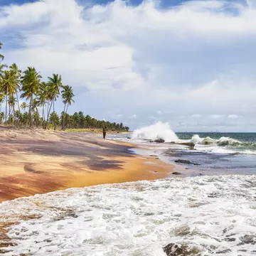 natural beach of Negombo in Sri Lanka