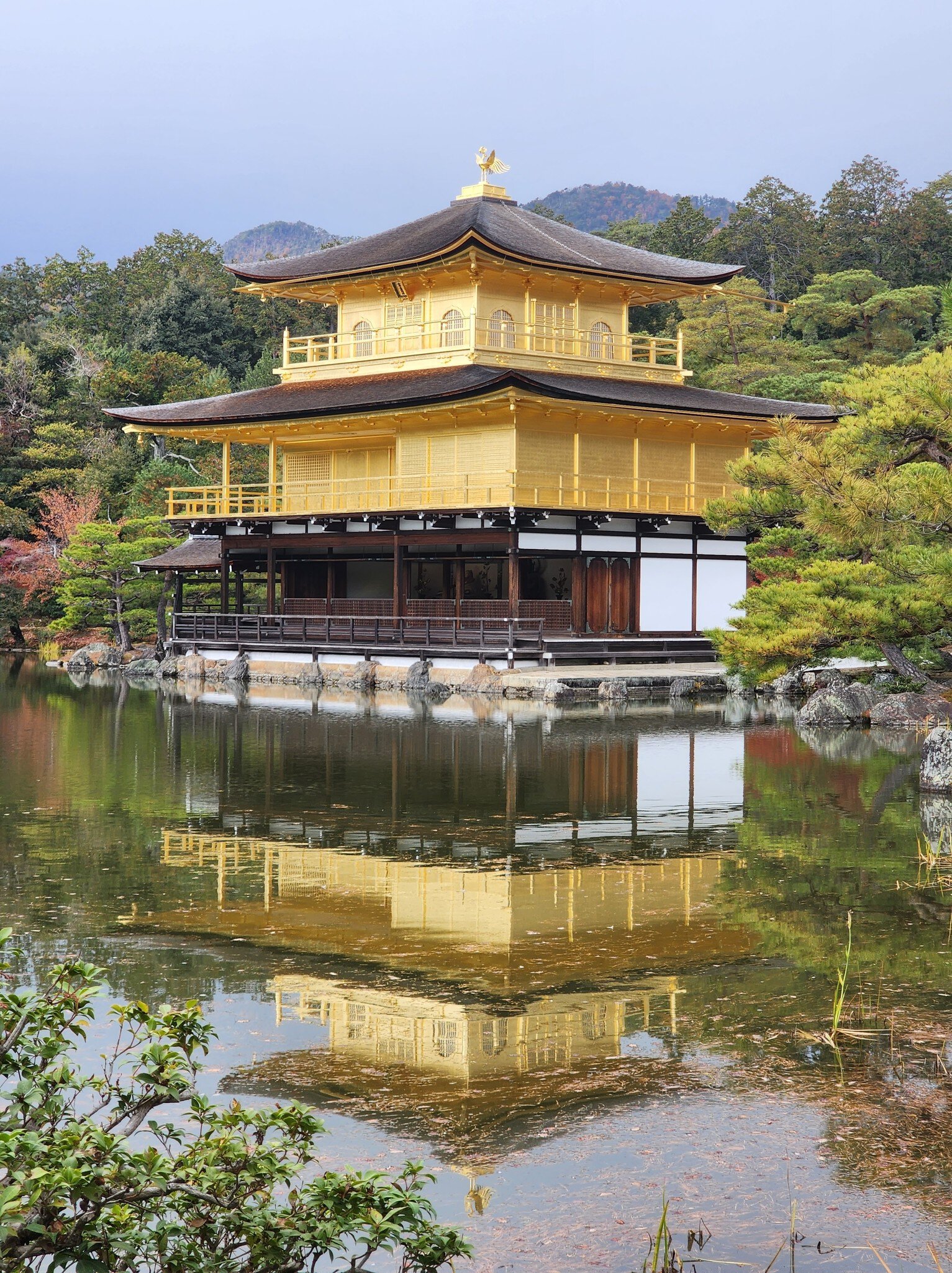 Kinkaku-ji, or Rokuon-ji, historic Golden pavillion architecture, zen buddhist temple, surrounding by japanese garden, Kyoto, Japan on 3 December 2023, License Type: media, Download Time: 2026-05-22T17:48:59.000Z, User: LP_NZhan, Editorial: true, purchase_order: 65050 - Digital Destinations and Articles, job: App Content, client: Lonely Planet App, other: Nadine Zhan
