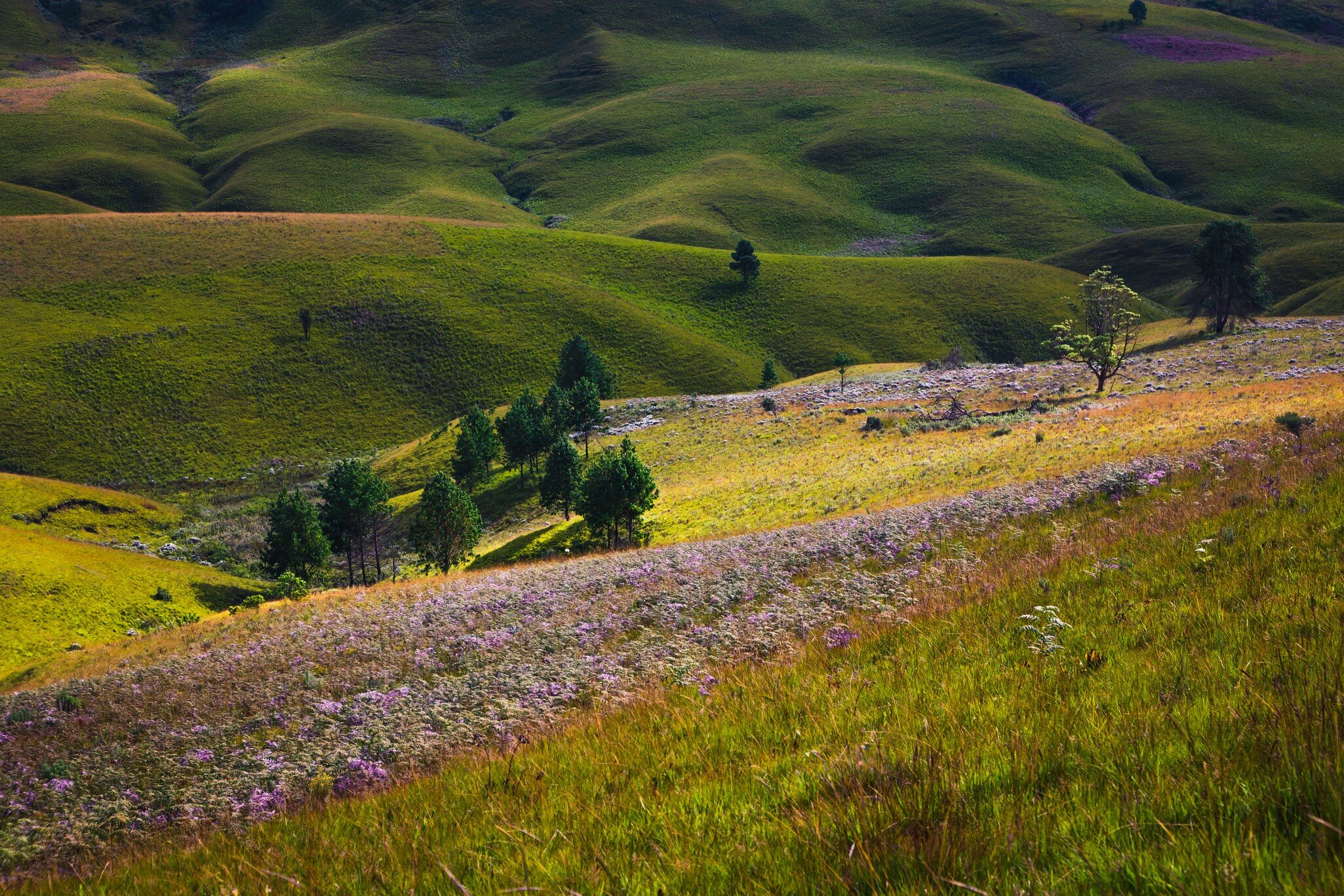 Kitulo National Park