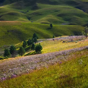 Kitulo National Park