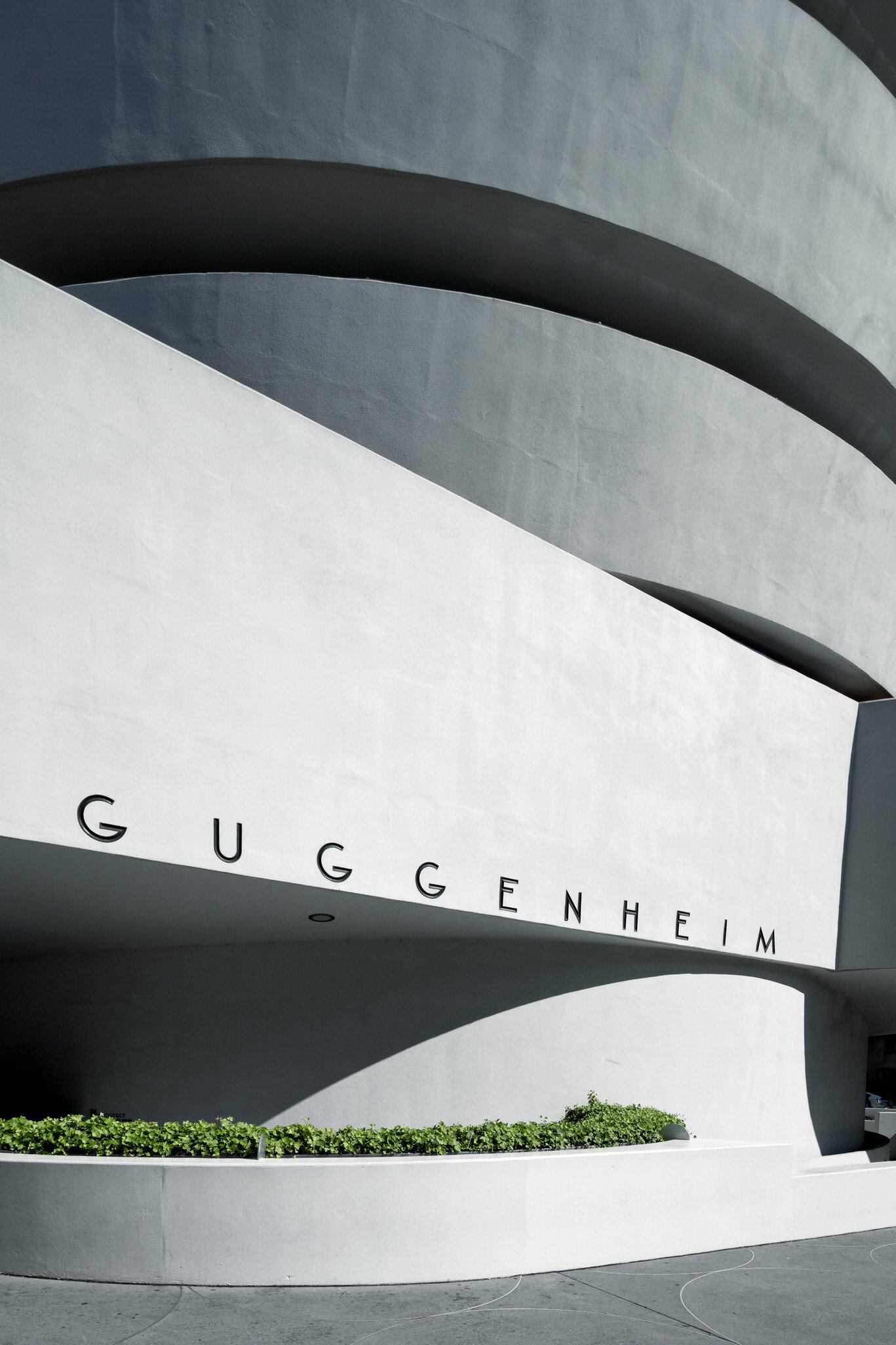 SolomonR. Guggenheim Museum, detailed view