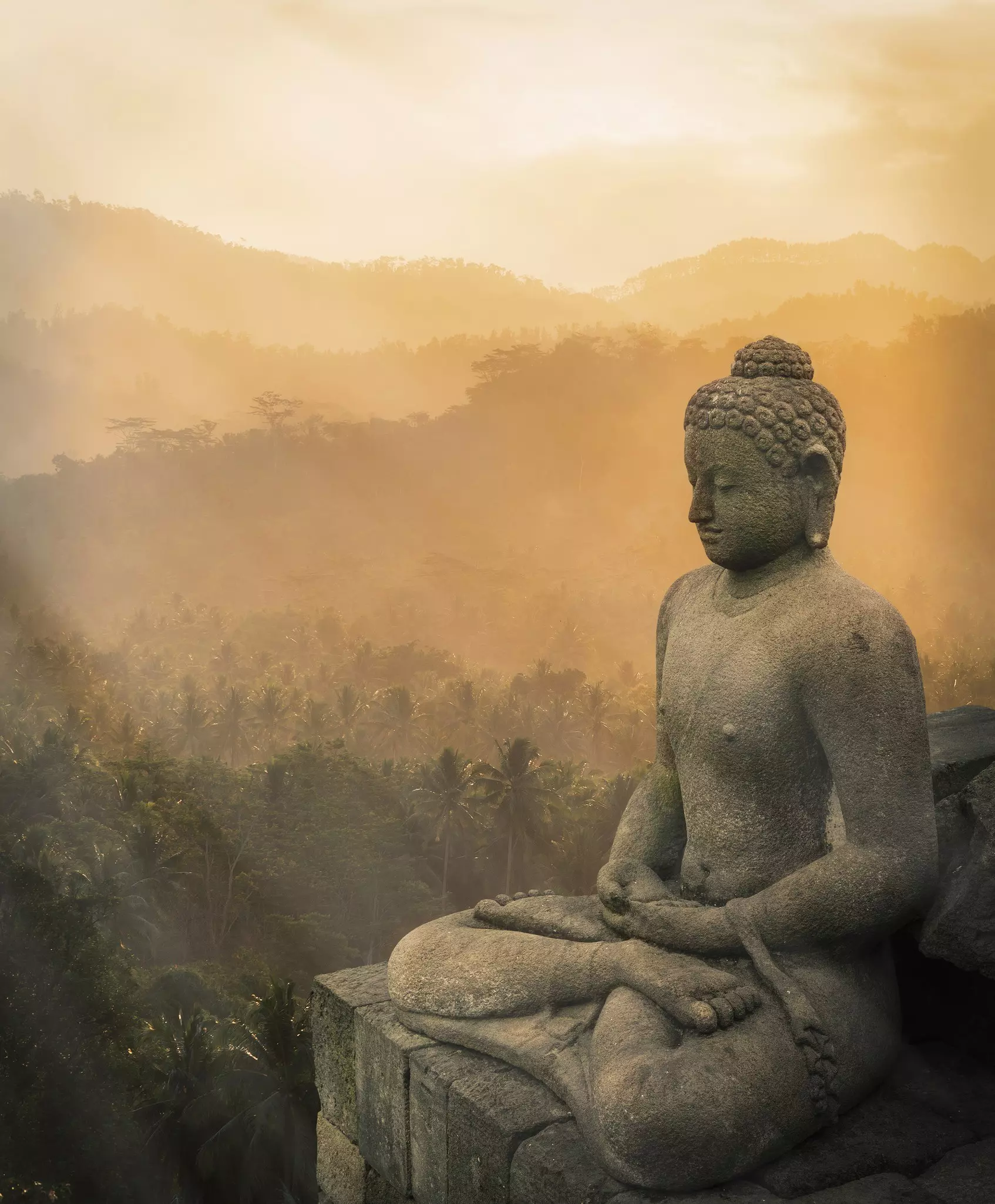 A stone statue of Buddha, sat crossed legged on a plinth above a dense jungle of palm trees.