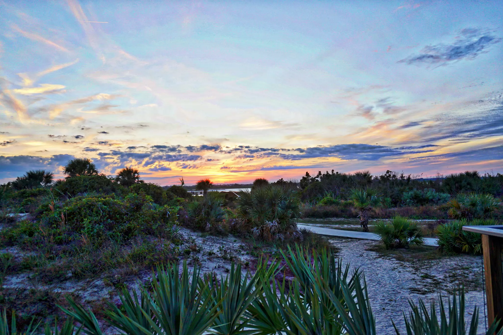 The dunes along New Smyrna Beach.