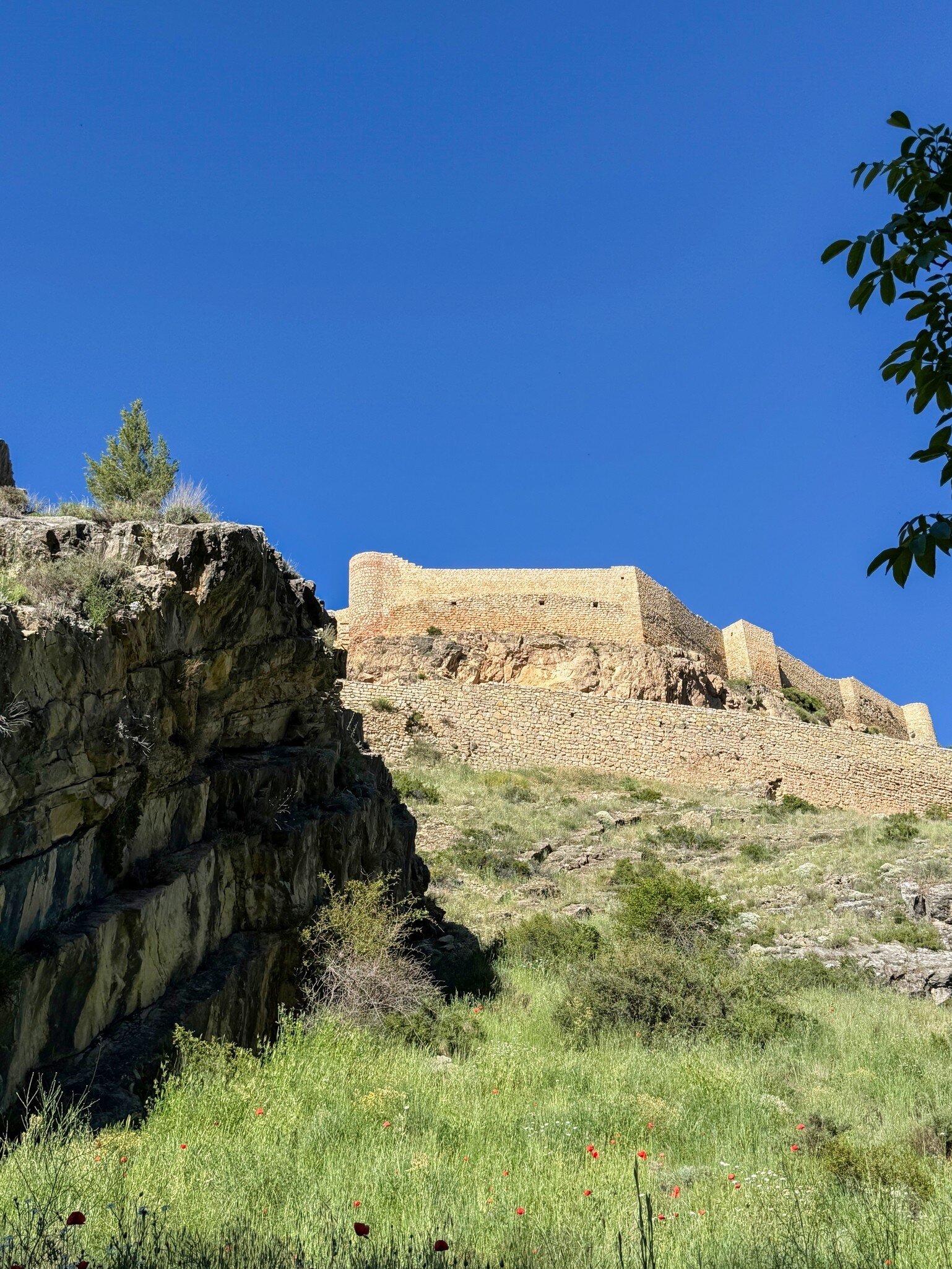 View of Albarracín Citadel framed by tall grass in the foreground in Aragon, Spain.