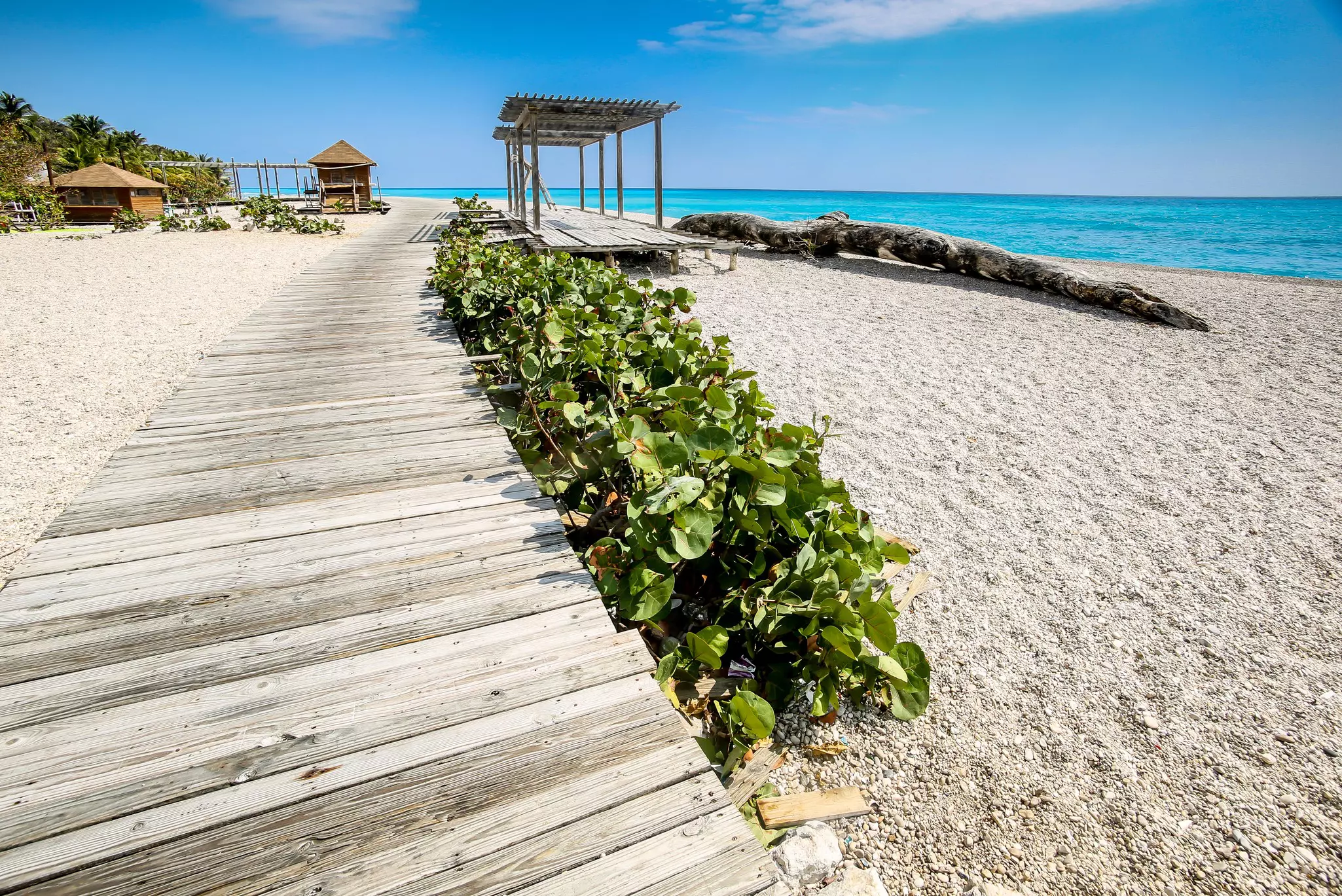 dramatic image of wooden path leading to the caribbean coast at los patos park in the dominican republic.
