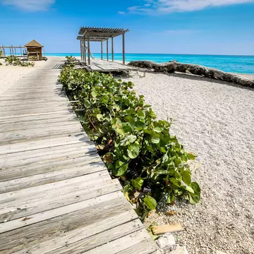A wooden boardwalk above a pebbly beach leads to a small shelter.