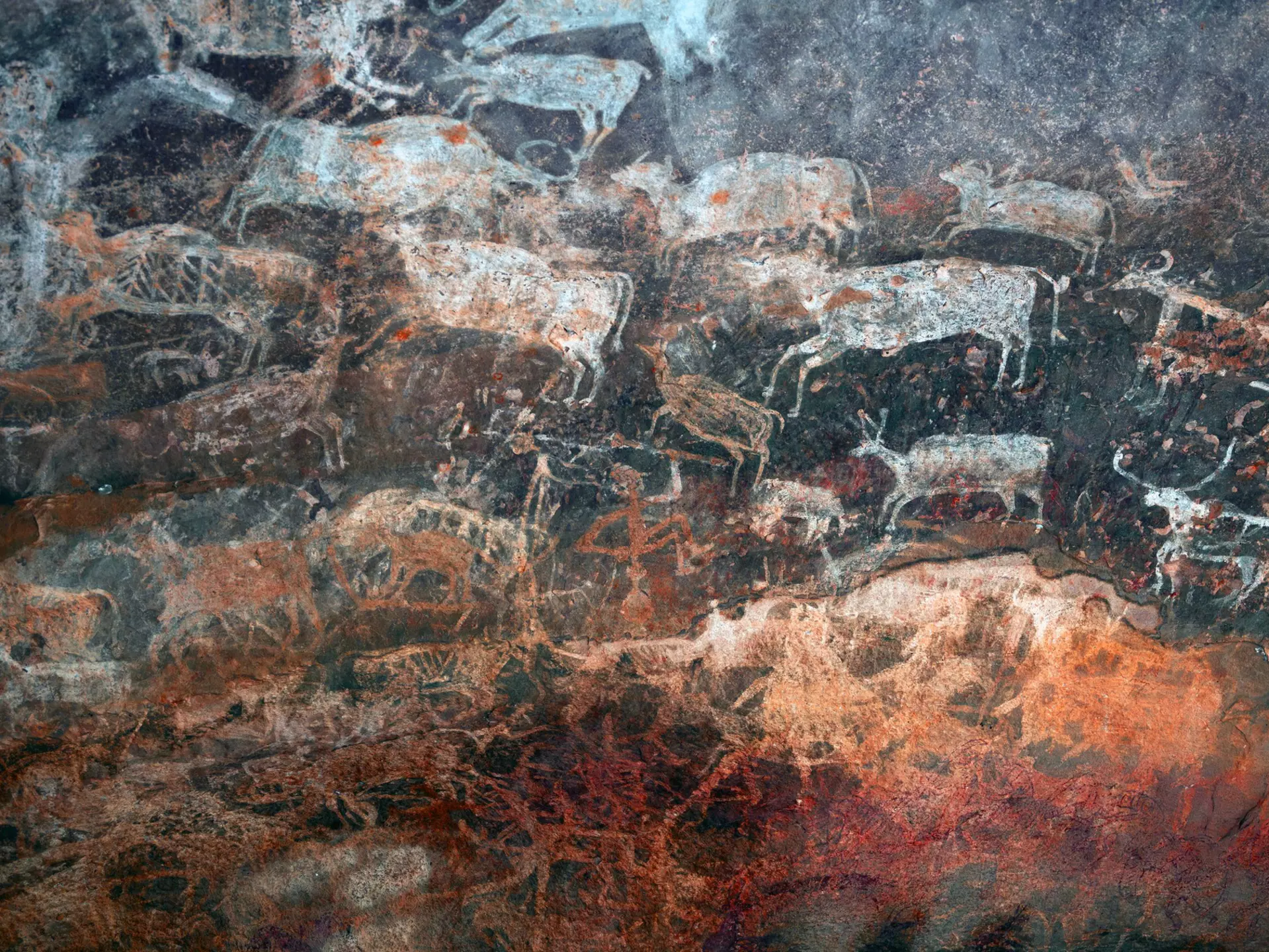 Paintings of animals in the ancient rock shelters at Bhimbetka in India.
