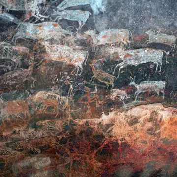 Paintings of animals in the ancient rock shelters at Bhimbetka in India.