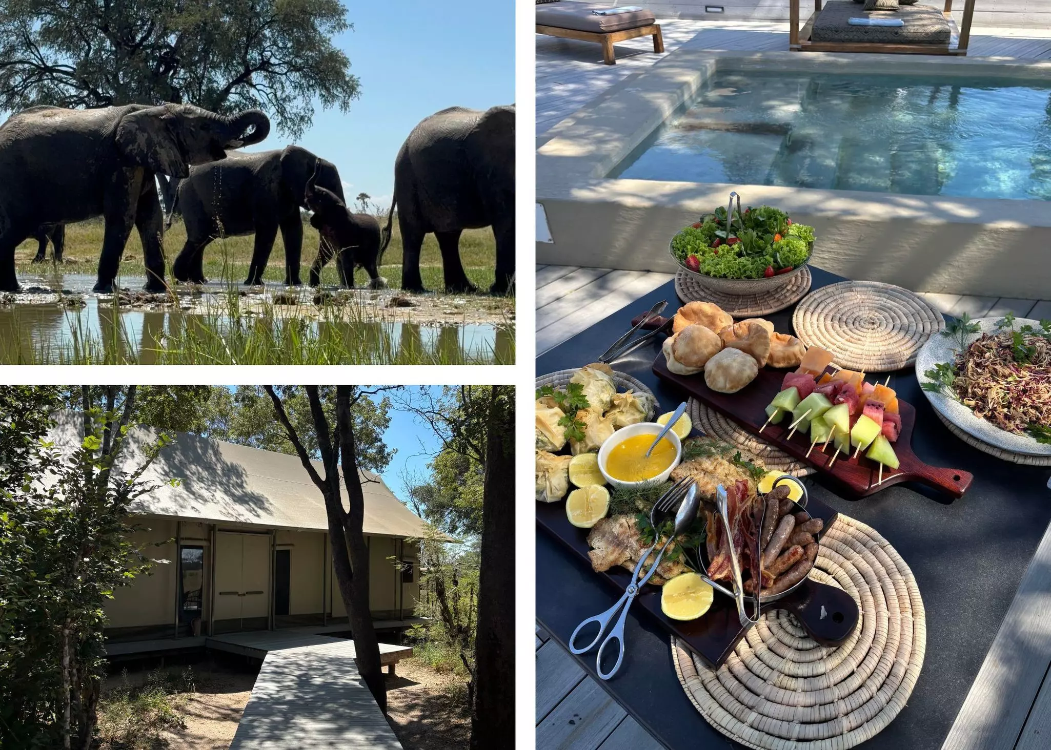 Images of elephants at the watering hole at Hwange National Park, and scenes from Linkwasha in Zimbabwe.