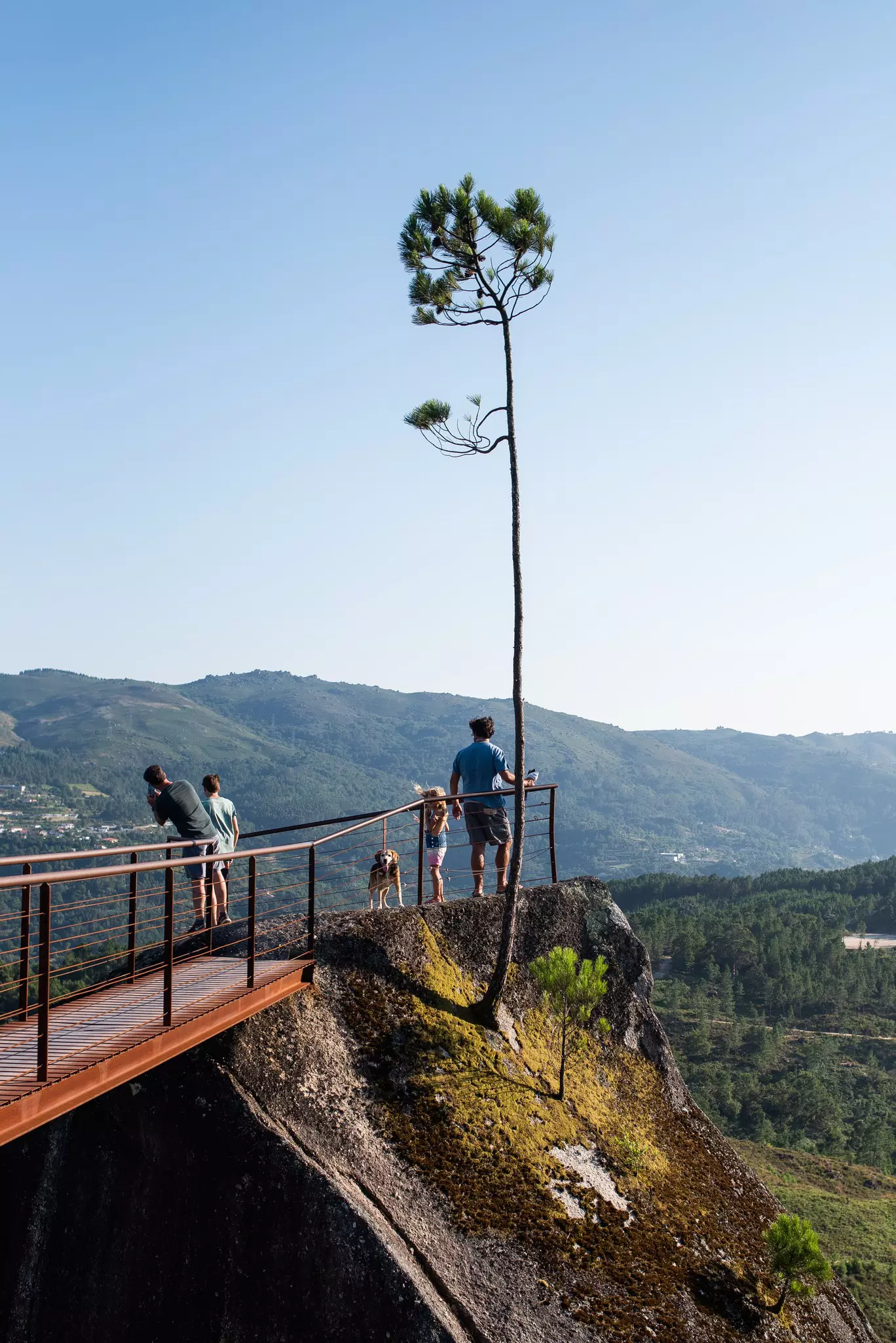 A man and three kids with a dog on a walkway that leads to a scenic view of green mountains