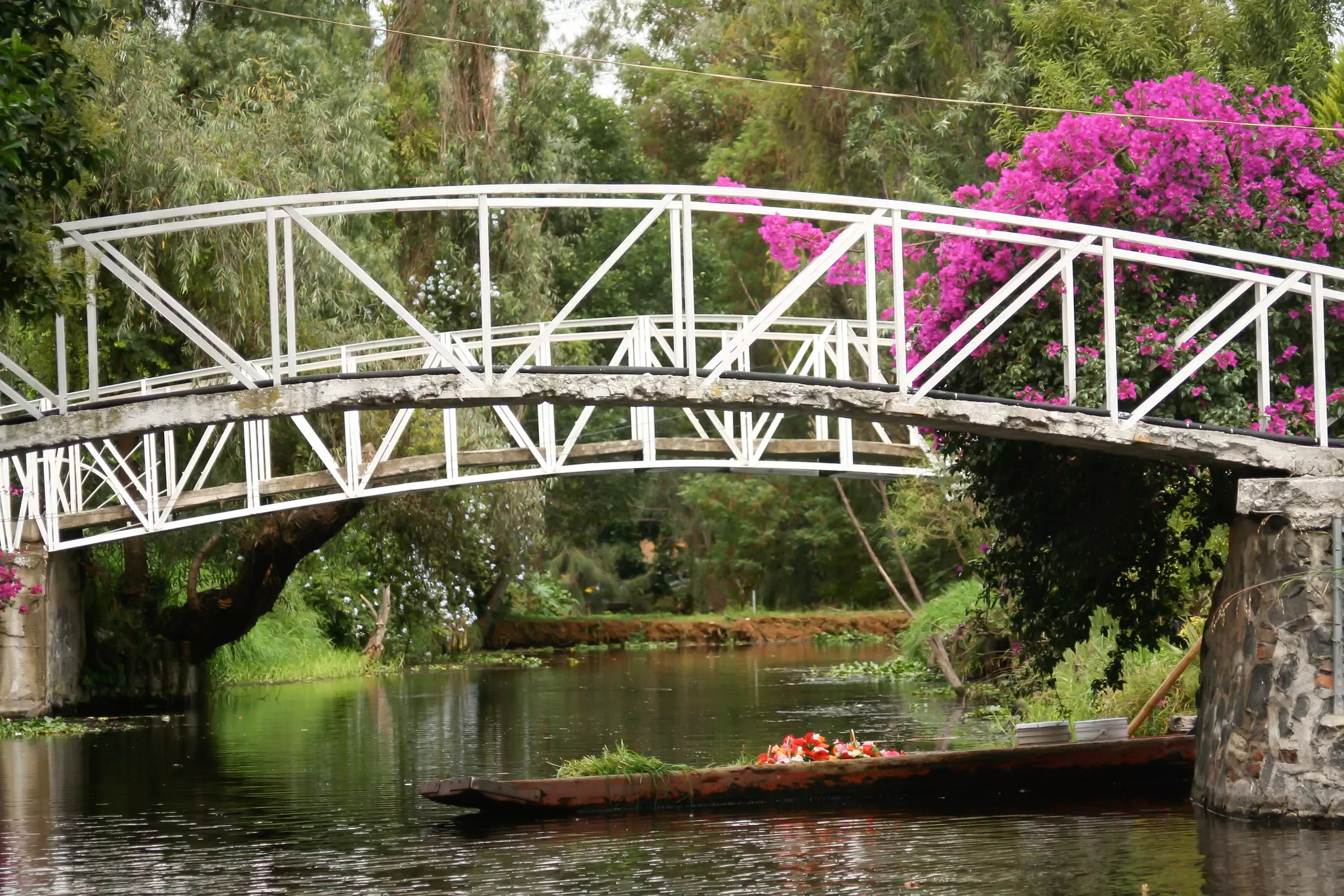 Image of a white curved bridge over a canal with a floating garden jutting out from the right of the photo.