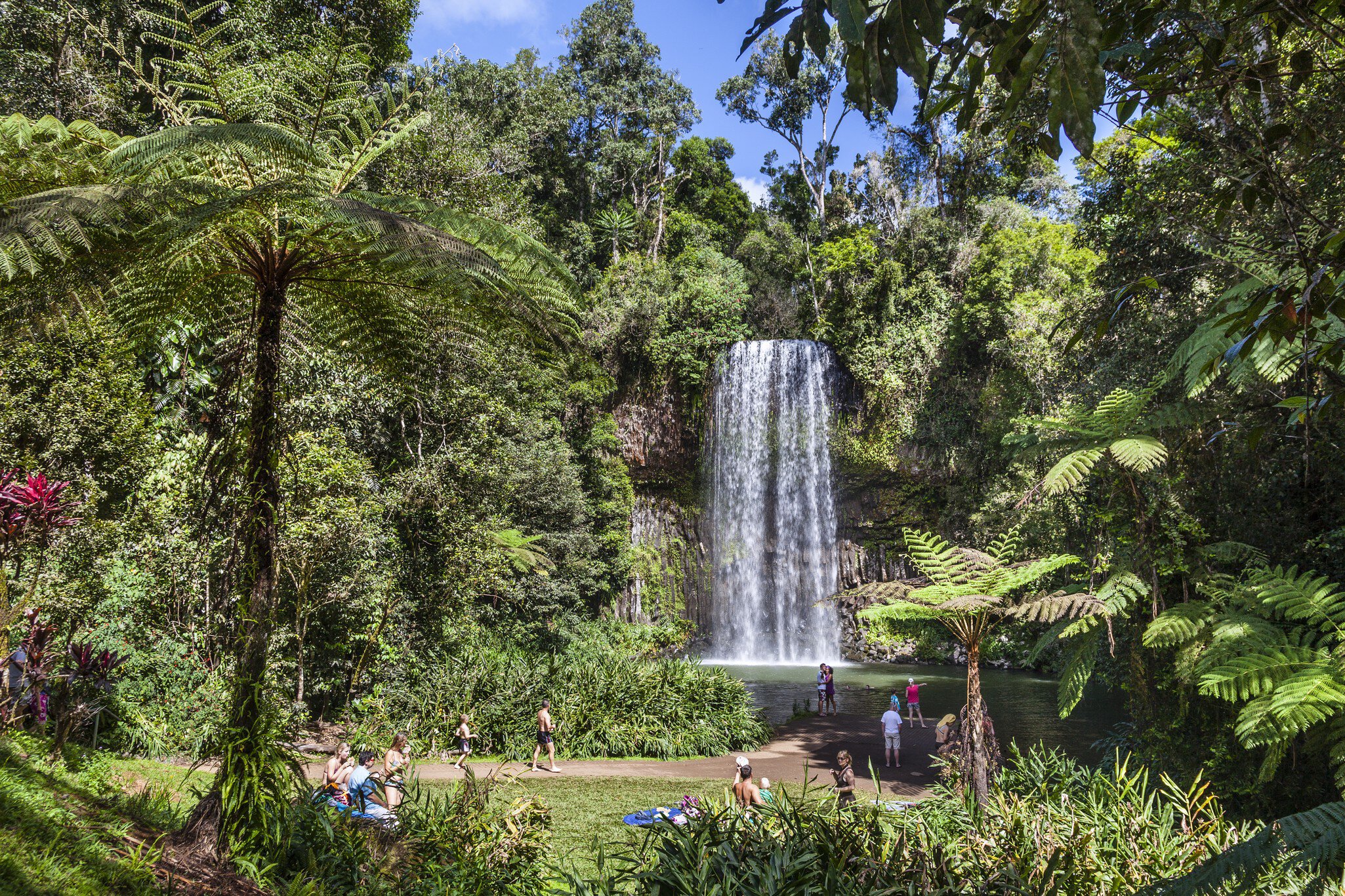 Australia, North Queensland, Atherton Tableland, Milla Milla Falls.