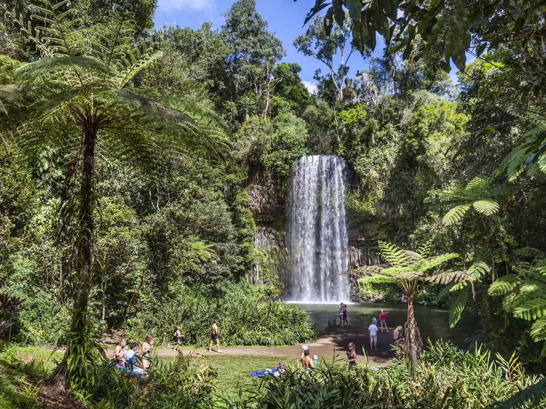 Australia, North Queensland, Atherton Tableland, Milla Milla Falls.