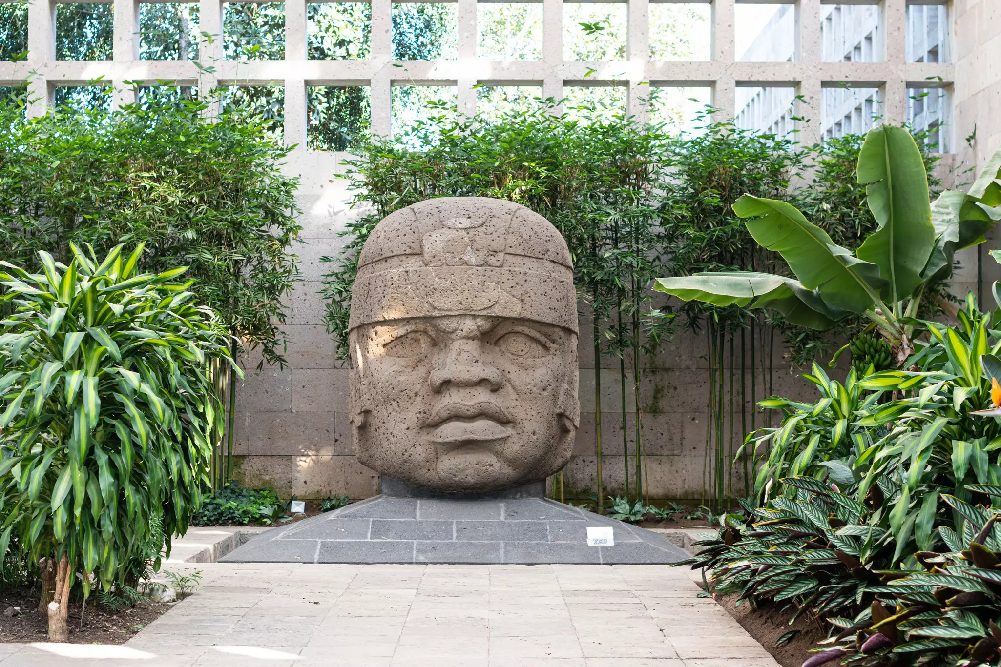 A large stone head at the end of a concrete walkway surrounded by greenery in a museum patio with sunlight coming through beyond.
