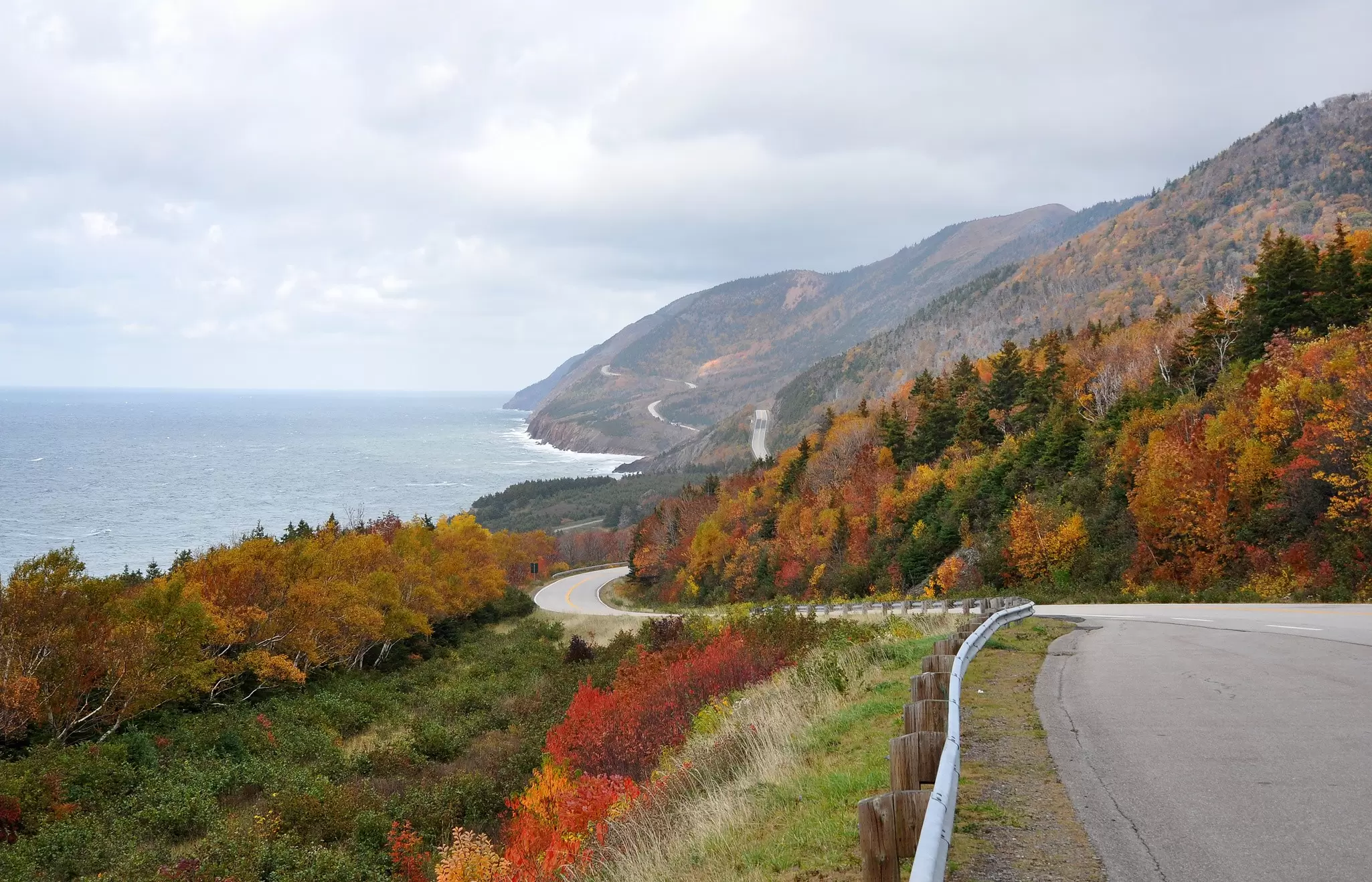 A road curves around a coast with sea cliffs that have trees in fall colors.
