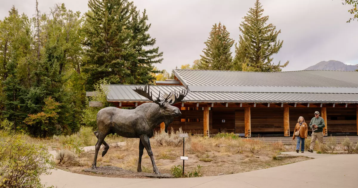 The 9 best things to do in Jackson Hole - Lonely Planet