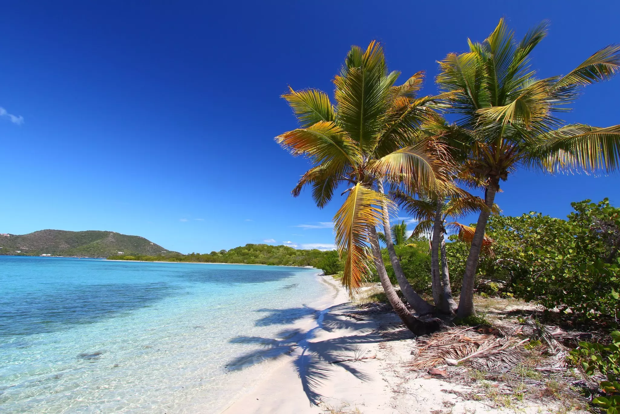 Palm trees sway in the breeze on a small beach on a tropical island.