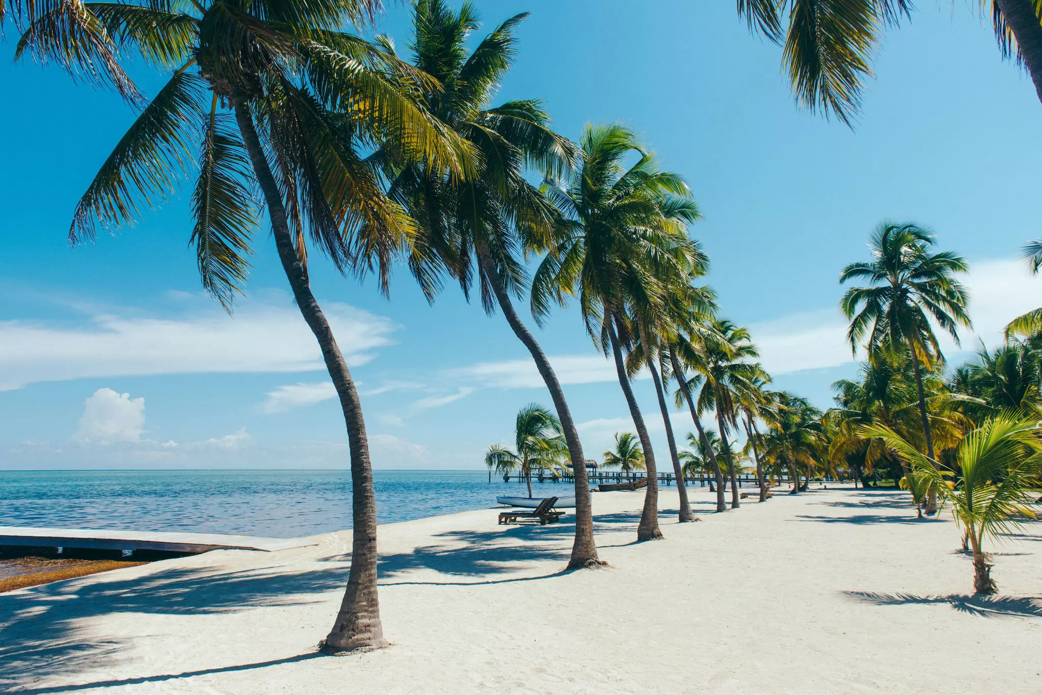 Beach with palm trees, Florida Keys, Florida, USA