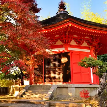 636312738
Kyoto City, Japanese Fall Foliage, Maple Leaf, Octagon, Tofukuji Temple, Japanese Maple, Buddhism, Religion, History, Spirituality, Multi Colored, Yellow, Red, Orange Color, Green Color, Japanese Culture, Famous Place, Travel Destinations, Outdoors, Japan, Maple Tree, Autumn, Landscape, Temple - Building, Place of Worship, autumn foliage, autumn leaves, zen temple, Rinzai Sect, Octagonal Building, MiniKyoto2016
The photo shows autumn foliage around Aizendo Hall (Octagonal Hall)of Tofuku-ji Temple, Kyoto, Japan.