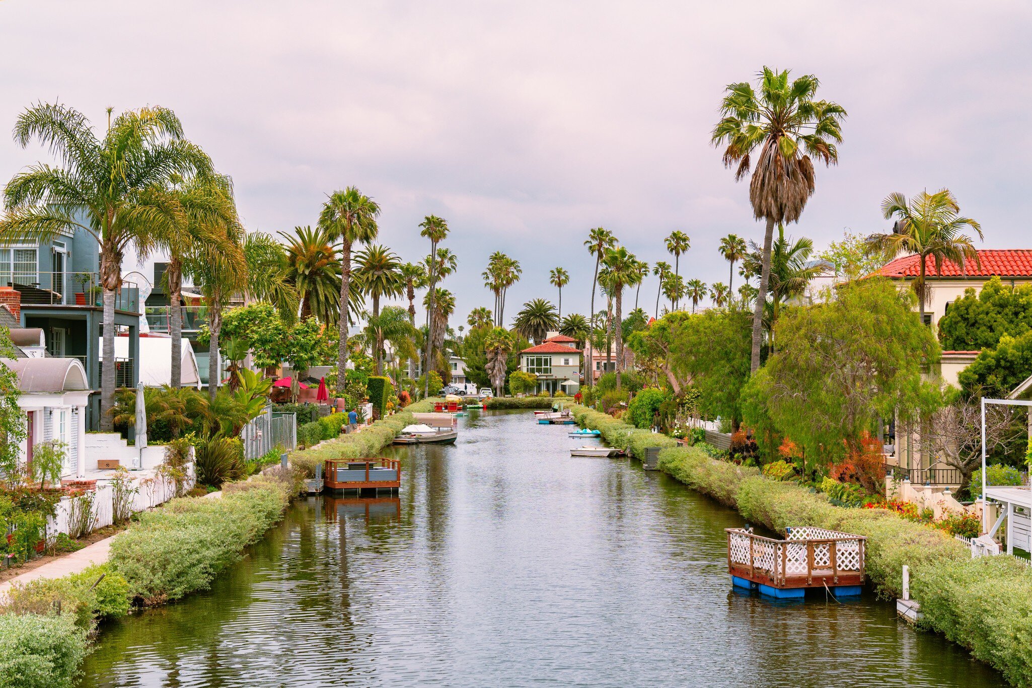 Picturesque and quaint canals lined by palm trees and colorful homes in Venice, California, License Type: media, Download Time: 2025-02-03T21:47:36.000Z, User: rhylton_redventures, Editorial: false, purchase_order: 56530 - Guidebooks, job: Lonely Planet WIP, client: Lonely Planet WIP, other: Rhianydd Hylton