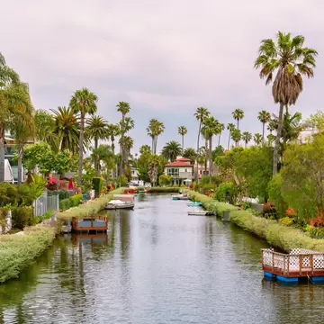 Picturesque and quaint canals lined by palm trees and colorful homes in Venice, California, License Type: media, Download Time: 2025-02-03T21:47:36.000Z, User: rhylton_redventures, Editorial: false, purchase_order: 56530 - Guidebooks, job: Lonely Planet WIP, client: Lonely Planet WIP, other: Rhianydd Hylton