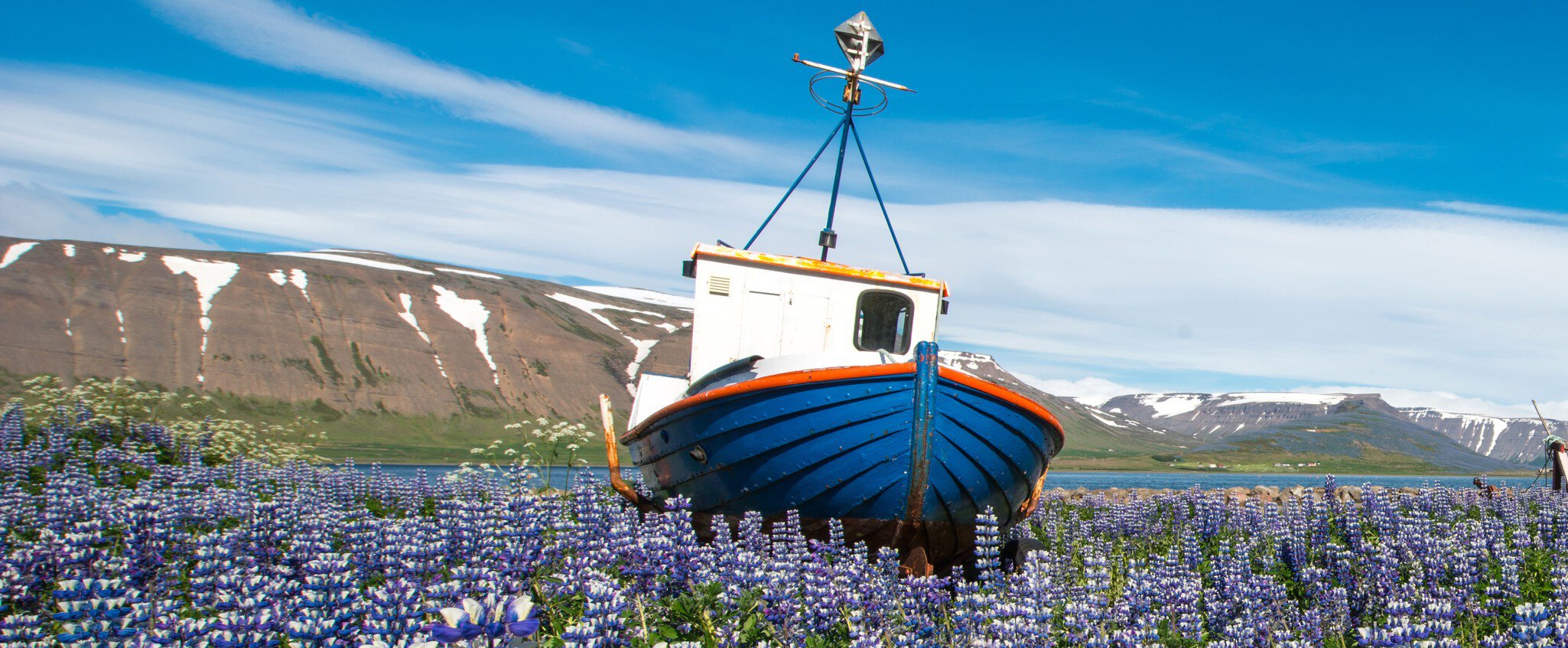 Pingeyri town, Westfjord, Iceland